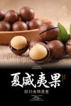 夏威夷果海报
