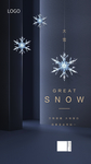水晶雪花大雪