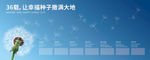 发展历程