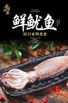 鱿鱼海报