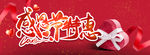 感恩节特惠