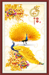金色孔雀
