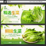 生菜