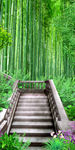 清新竹林木板路过道3D玄关
