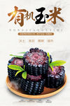 黑玉米海报 有机黑玉米 黑色玉
