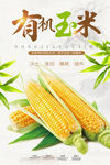 有机玉米海报