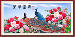 孔雀图