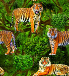 大牌男装 老虎 定位