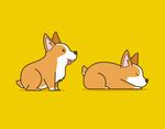 卡通柯基犬