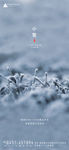 小雪节气