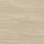 主人房地板木纹 300分辨率