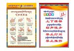 七步洗手法
