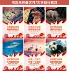 保护野生动物