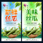 丝瓜