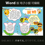 word版动物电子小报昆虫蜜蜂