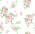 菊花 太阳花 粉花