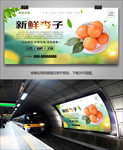 杏挂画灯箱展板易拉宝单页展架