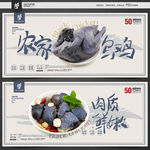 乌鸡