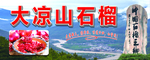 大凉山石榴