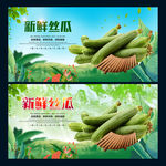 丝瓜