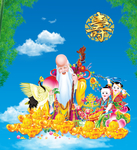 老寿星
