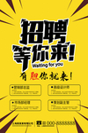 招聘精英
