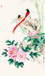花鸟画1