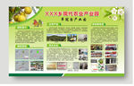 翠冠梨