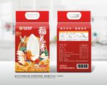 红色大米国潮风包装