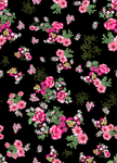 百花
