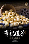 莲子海报