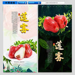 莲雾海报