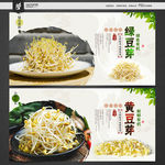 豆芽