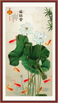荷花鲤鱼图