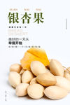 银杏果海报