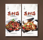 茶树菇