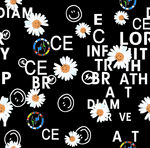 字母 菊花