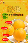 脐橙