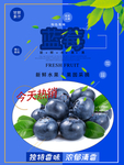 蓝莓