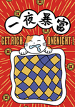 一夜暴富 猫