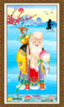 老寿星