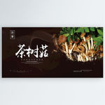 茶树菇