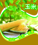 玉米