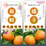 橘子