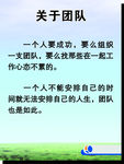关于团队