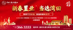 新春返乡置业