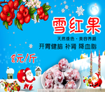 圣诞雪红果