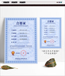 合格证