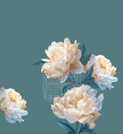 手绘花