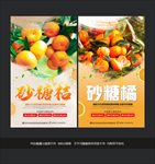 砂糖桔